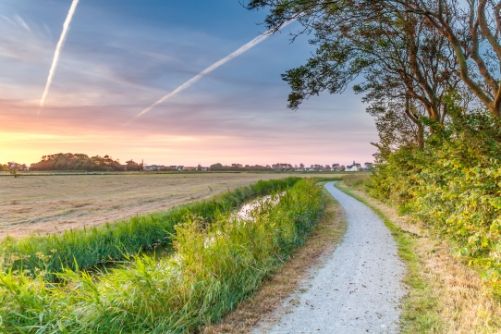 Texel polderlandschap